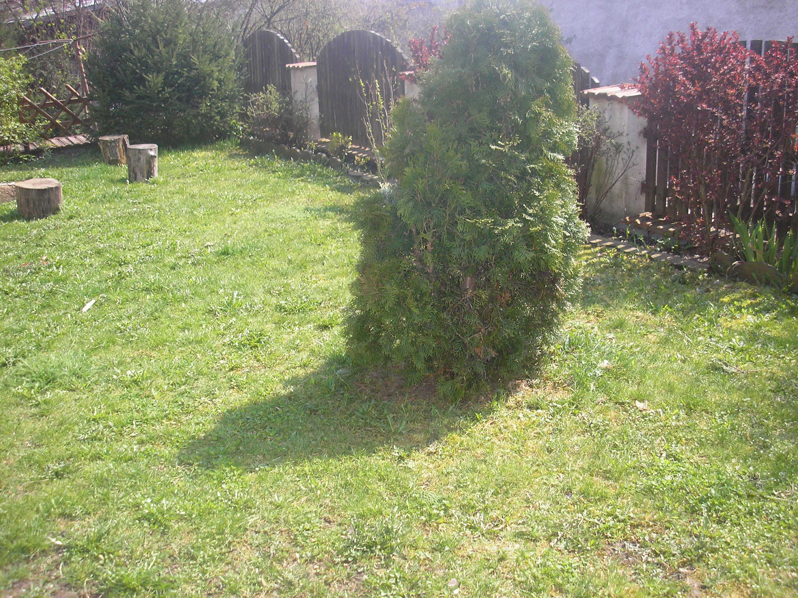 P1010071.JPG