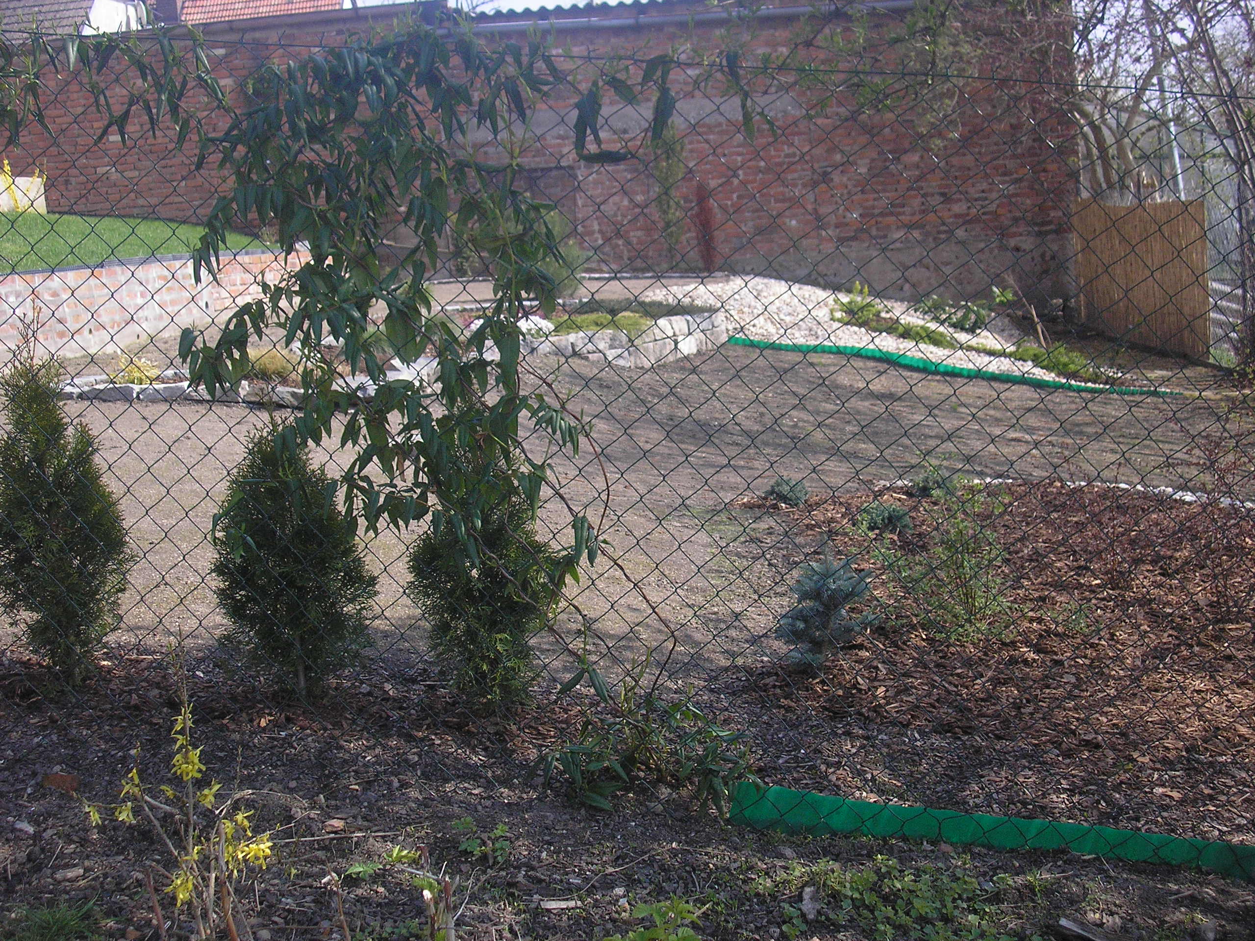 P1010076.JPG