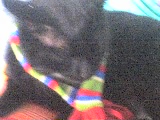 23-02-08_1044.jpg